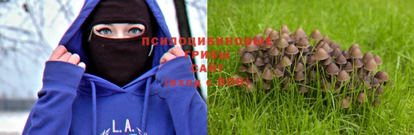 тгк Абдулино